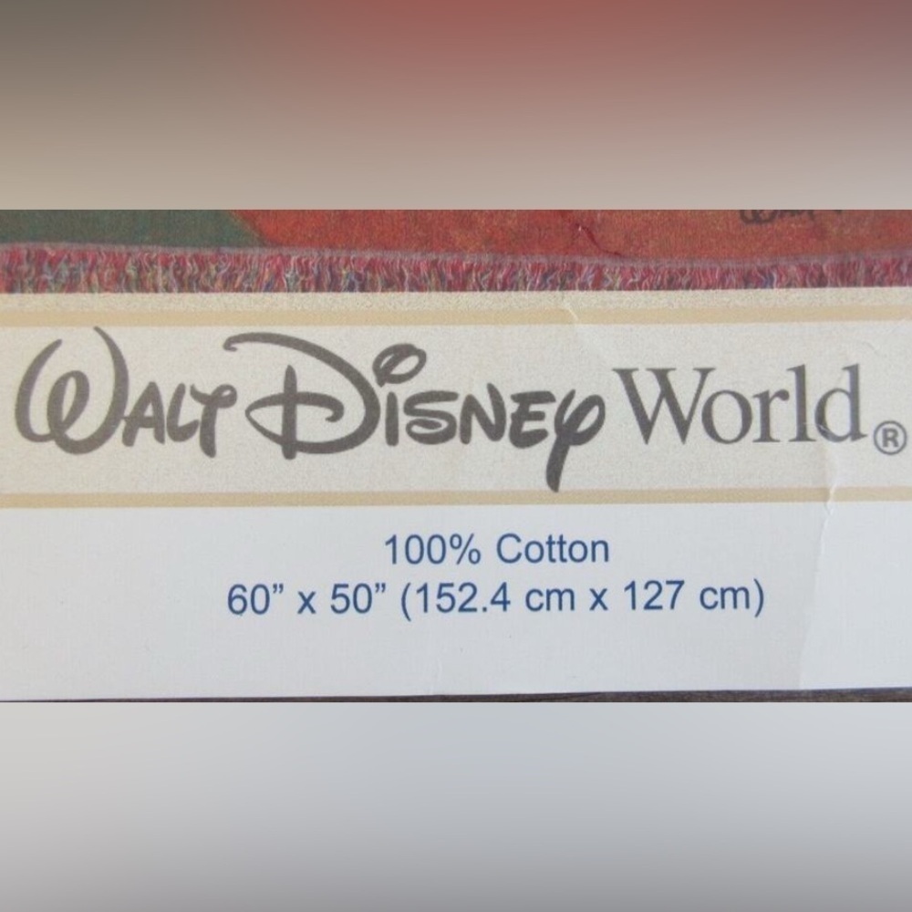 Walt Disney World Mickey’s Spring Picnic Tapestry Woven Throw Blanket 60x50 USA - Picture 3 of 3